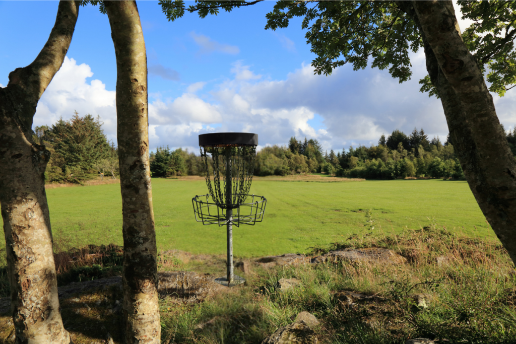 korty disc golf na zielonej polanie latem